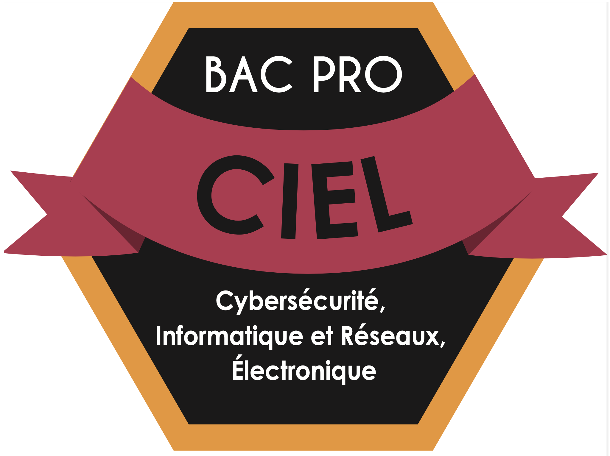 Bac Pro CIEL